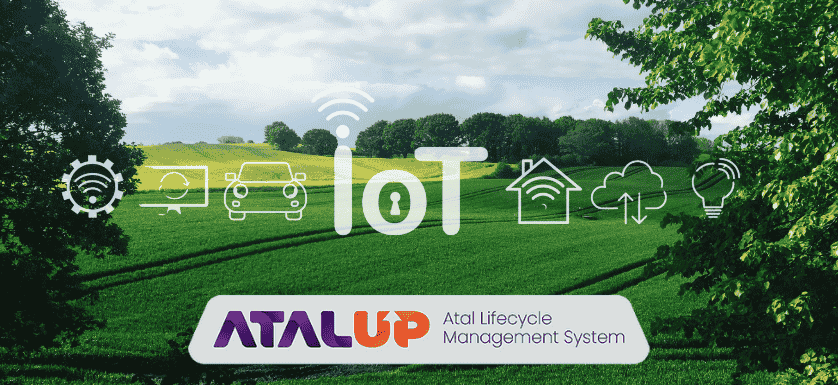 Stem courses in india