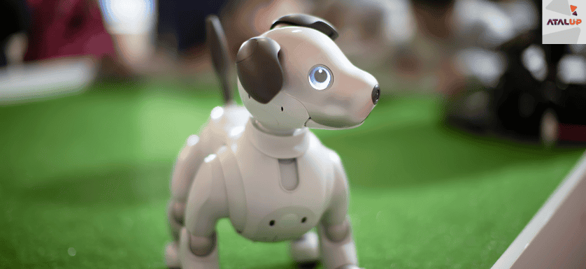 simple robotics projects