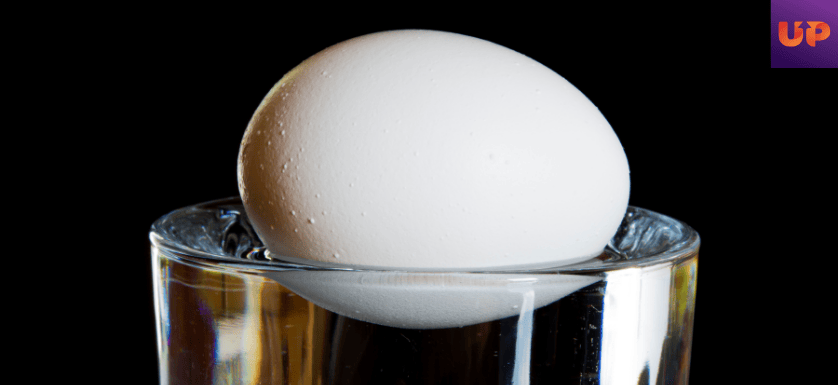 Simple Science Experiments for Kids- Egg floating on salt water