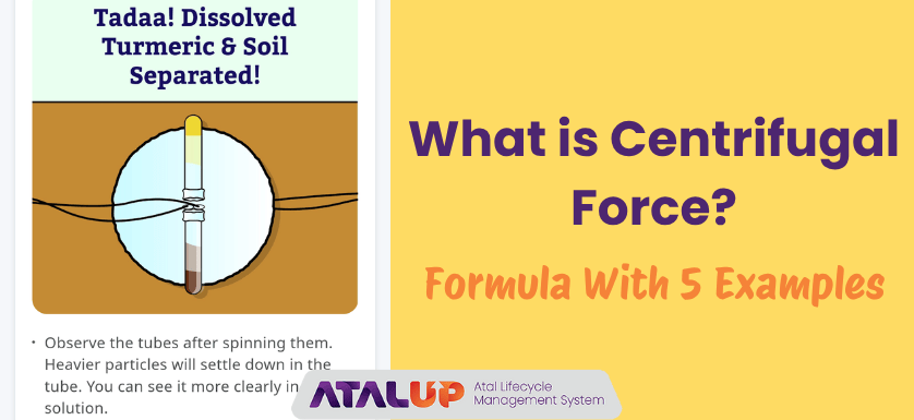 What is Centrifugal Force
