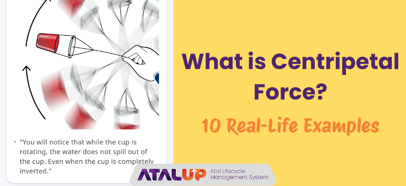 What is Centripetal Force?