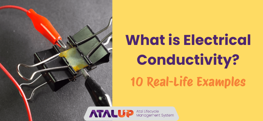 What is Electrical Conductivity