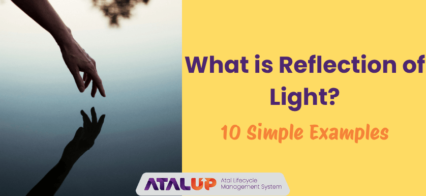 What is Reflection of Light?